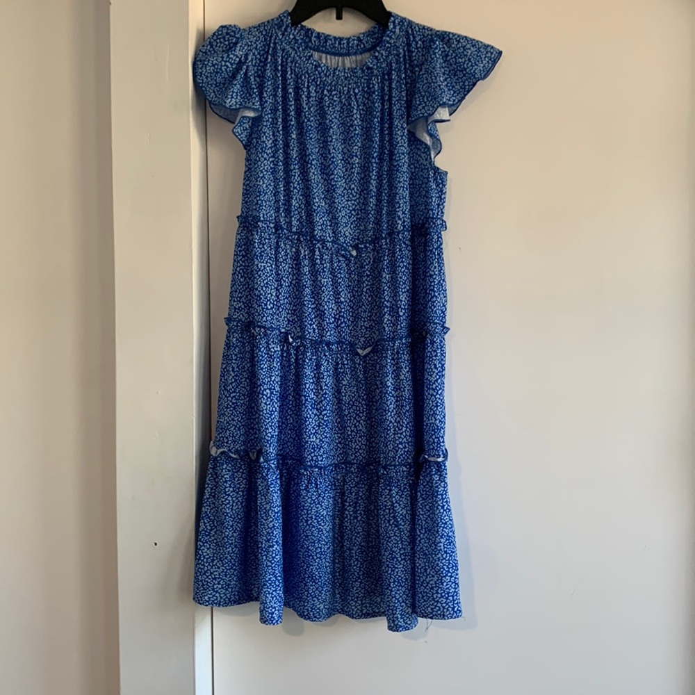 Amazon blue cheetah print dress